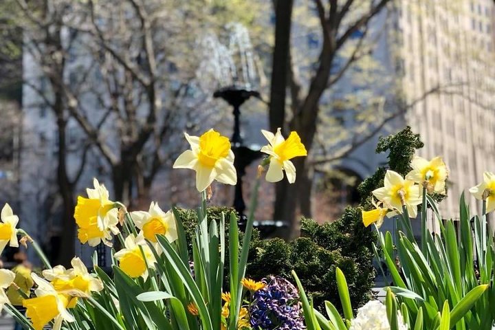 Discover The Queer Ecology Of West Chelsea And A High Line Photo-shoot - thumb 4