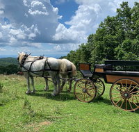 Horse and Carriage Ride through Moses H. Cone Park - Accommodation Rooms