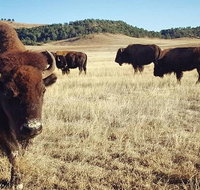 Private Mt Rushmore  Southern Black Hills Tour - Accommodation Rooms