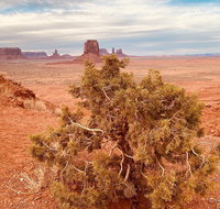 Monument Valley Backcountry Tour - Accommodation Rooms