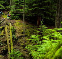 Sea Kayak and Mountain Bike Adventure near Olympic National Park - Accommodation Rooms