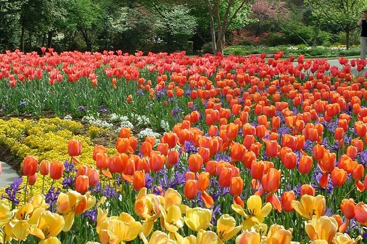 Dallas Arboretum And Botanical Gardens Tour - thumb 1
