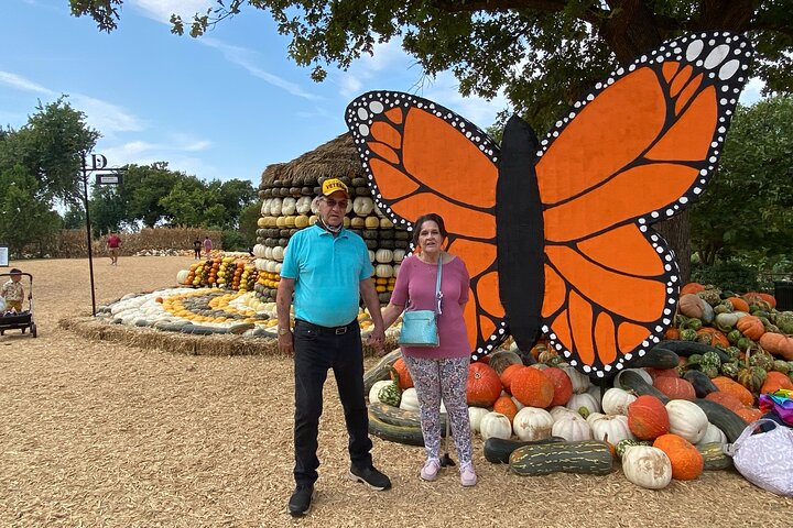 Dallas Arboretum And Botanical Gardens Tour - thumb 3