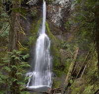Lake Crescent and Marymere Falls Guided Tour in Olympic National Park - Accommodation Rooms