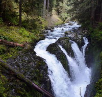 Sol Duc Falls Guided Tour in Olympic National Park - Accommodation Rooms