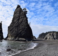 Hoh Rain Forest and Rialto Beach Guided Tour in Olympic National Park - Accommodation Rooms
