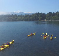 Half-Day Sea Kayaking Trip Near Olympic National Park - Accommodation Rooms