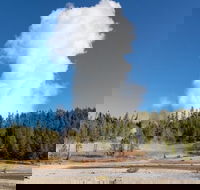 Full-Day Private Safari of Yellowstone - Accommodation Rooms