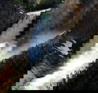 Yellowstone Lower Loop Private Day Tour - Accommodation Rooms