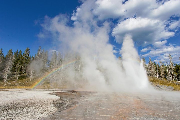 Yellowstone Lower Loop Guided Tour From Cody, Wyoming - thumb 2