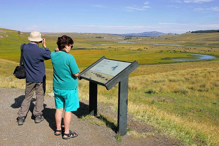 Yellowstone Custom Wildlife And Nature Tour - thumb 5