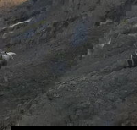 PET FRIENDLY PRIVATE Tour to Yellowstone National park - Accommodation Rooms