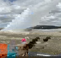 Yellowstone Open Air Tours by Cody Wyoming Adventures - Accommodation Rooms