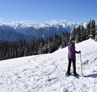 Hurricane Ridge Guided Snowshoe Tour in Olympic National Park - Accommodation Rooms