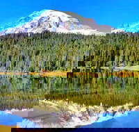 Mount Rainier National Park 1-Day Tour (Seattle departure) - Accommodation Rooms