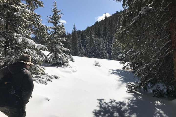 Classic Crags Hike near Pikes Peak