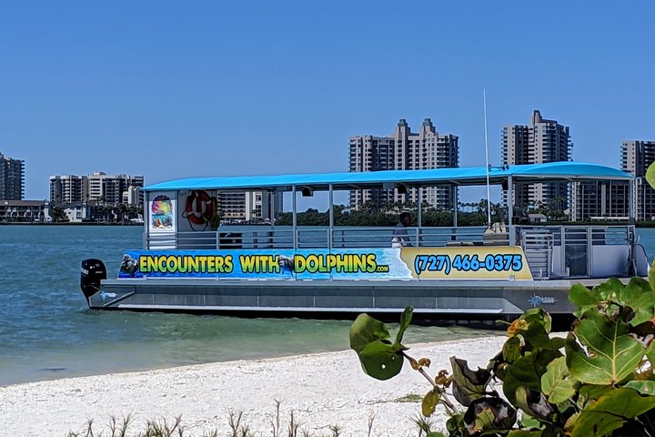 Clearwater Encounters With Dolphins Tour - thumb 2