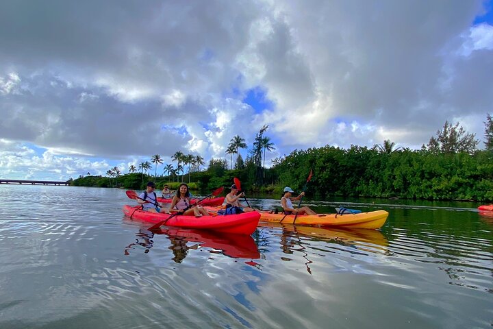 Wailua River And Secret Falls Kayak And Hiking Tour - thumb 5