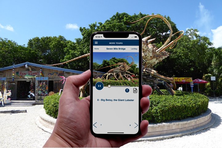 Florida Key West Self-Driving Tour (Overseas Highway, 7 Mile Bridge) - thumb 4