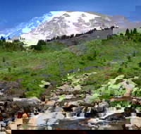 Private Mt Rainier National Park Day Trip from Seattle - Accommodation Rooms