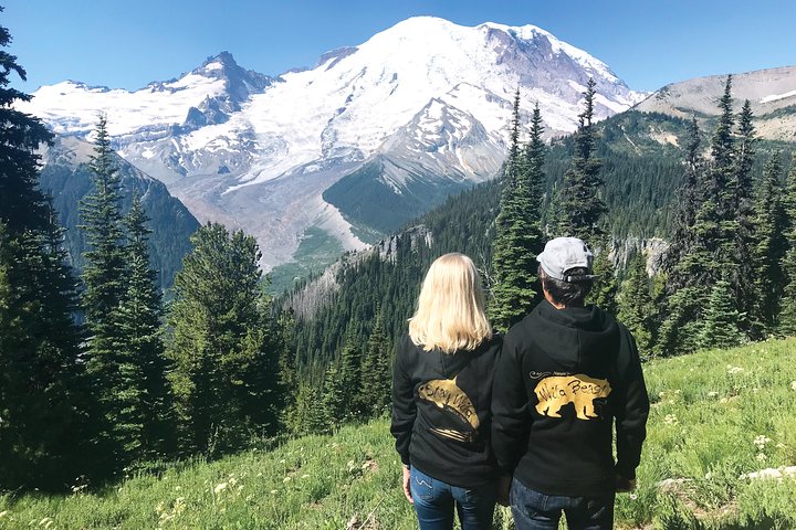 Mt. Rainier National Park Small Group Tour From Seattle With Gourmet Lunch - thumb 0