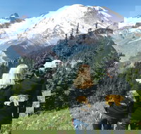 Mt. Rainier National Park Small Group Tour from Seattle with Gourmet Lunch - Accommodation Rooms