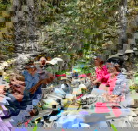 Mount Rainier National Park Luxury Small-Group Day Tour with Lunch - Accommodation Rooms