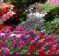 Skagit Valley Tulip Festival Day Trip from Seattle - Accommodation Rooms