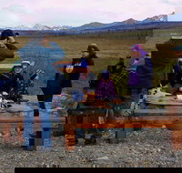 Denali Backcountry Safari - Accommodation Rooms