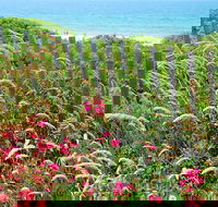 Martha's Vineyard Daytrip from Boston with Round-Trip Ferry & Island Tour Option - Accommodation Rooms