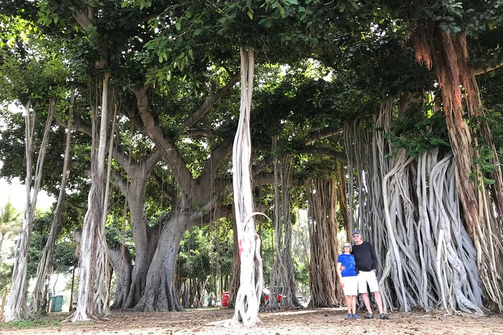 Private Circle Island Tour With Beaches And Local Food - thumb 4
