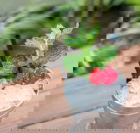 Small-Group Cocktail Tour in Denver - Accommodation Rooms