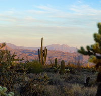 Sonoran Desert Jeep Tour at Sunset - Accommodation Rooms