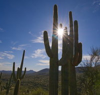 Iconic Tom's Thumb Hiking Adventure in Scottsdale - Accommodation Rooms