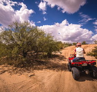 Sonoran Desert 2 Hour Guided ATV Adventure - Accommodation Rooms