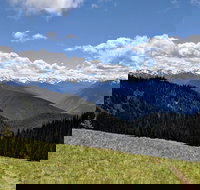 Olympic National Park - Private Luxury Day Tour with Lunch - Accommodation Rooms