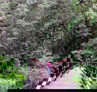 Olympic National Park Luxury Small-Group Day Tour with Lunch - Accommodation Rooms