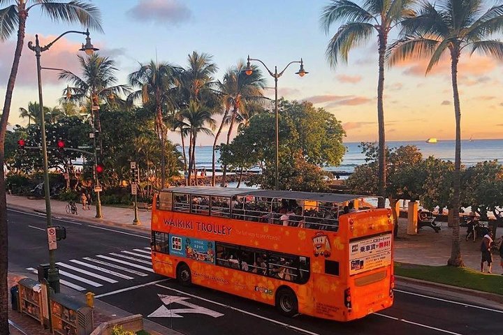 Waikiki Trolley Hop-On Hop-Off Tour Of Honolulu - thumb 2