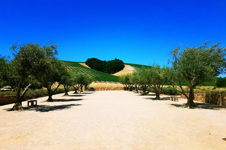 3-Day Central Coast Hearst Castle & Wine Tour - San Francisco To Los Angeles - thumb 3