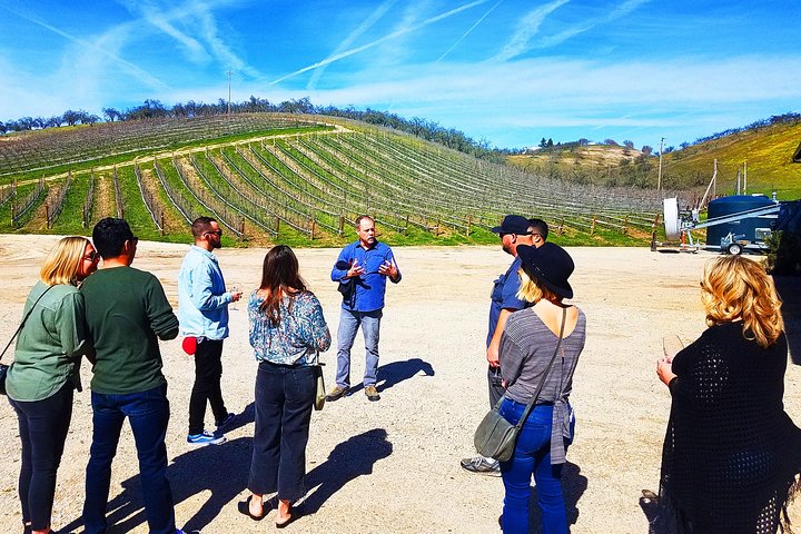 3-Day Central Coast Hearst Castle & Wine Tour - San Francisco To Los Angeles - thumb 5