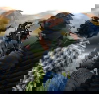 Midnight Sun Photo Excursion - Accommodation Rooms