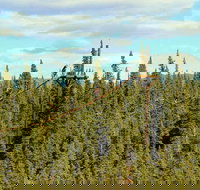 Denali Park Zipline Adventure - Accommodation Rooms