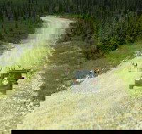 Denali Highway Jeep Excursion - Accommodation Rooms