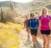 Half-Day Sonoran Desert Hiking Tour - Accommodation Rooms