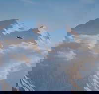 Denali Peak Sightseeing by Plane - Accommodation Rooms