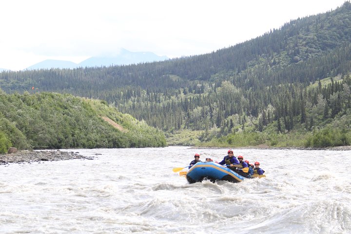 Paddle Rafting On The Nenana Gorge - thumb 4