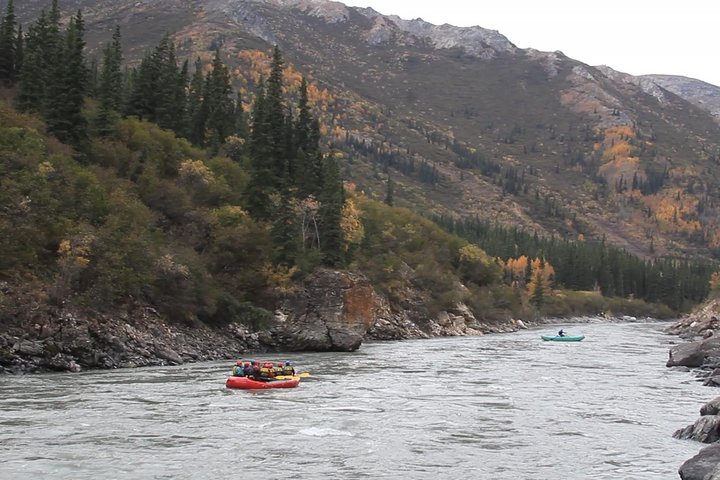 Paddle Rafting On The Nenana Gorge - thumb 5